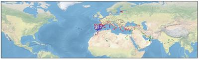 The interplay between climatic niche evolution, polyploidy and reproductive traits explains plant speciation in the Mediterranean Basin: a case study in Centaurium (Gentianaceae)